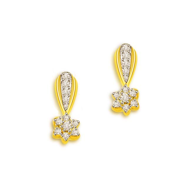 Diamond Earrings Prices Diamond Earrings Pcs 24 Wt 0 30 Cts Color
