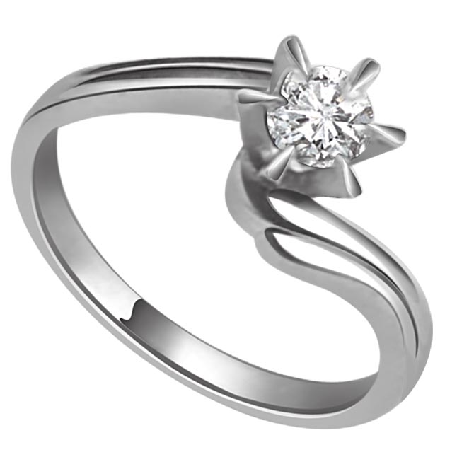 White Gold Big Sol White Gold Big Sol