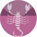 Scorpio or Vrischika Compatible Coral Stone Jewelry