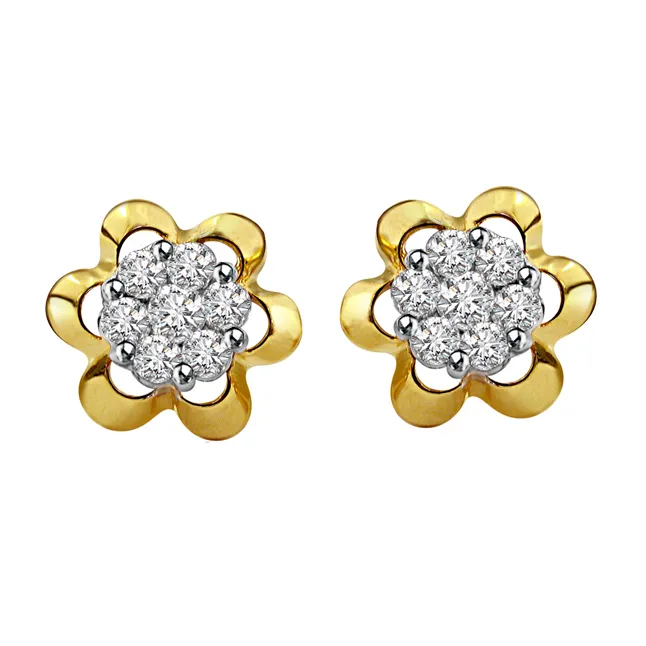 Striking n Shimmering Kuda Jodi Earrings (ER55)