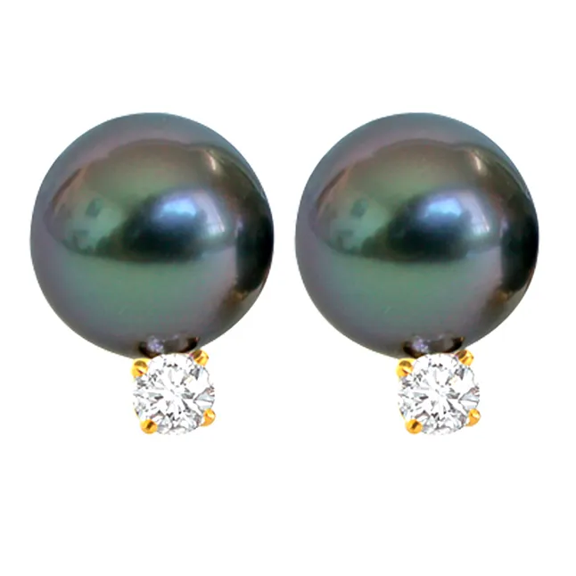 Tahitian Temptress Pearl & Diamond Earrings (ER6)