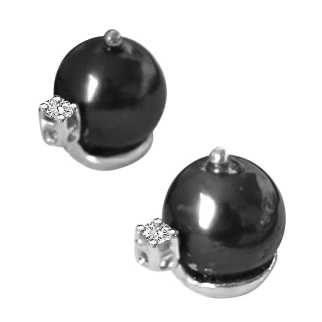 Tahitian Pearl & Diamond Earrings in 14kt White Gold -Tahitian Pearl Earrings