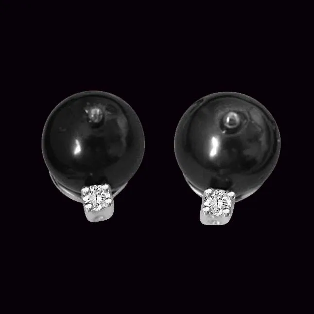 Tahitian Pearl & Diamond Earrings in 14kt White Gold -Tahitian Pearl Earrings