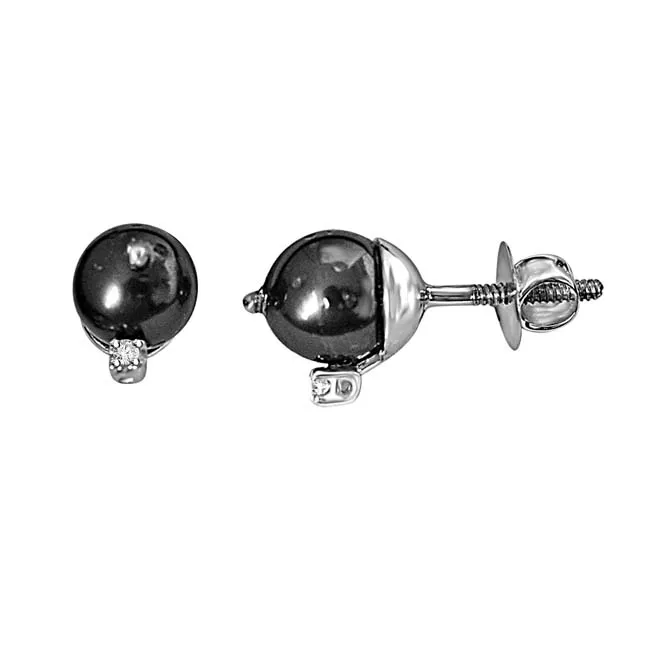 Tahitian Pearl & Diamond Earrings in 14kt White Gold -Tahitian Pearl Earrings