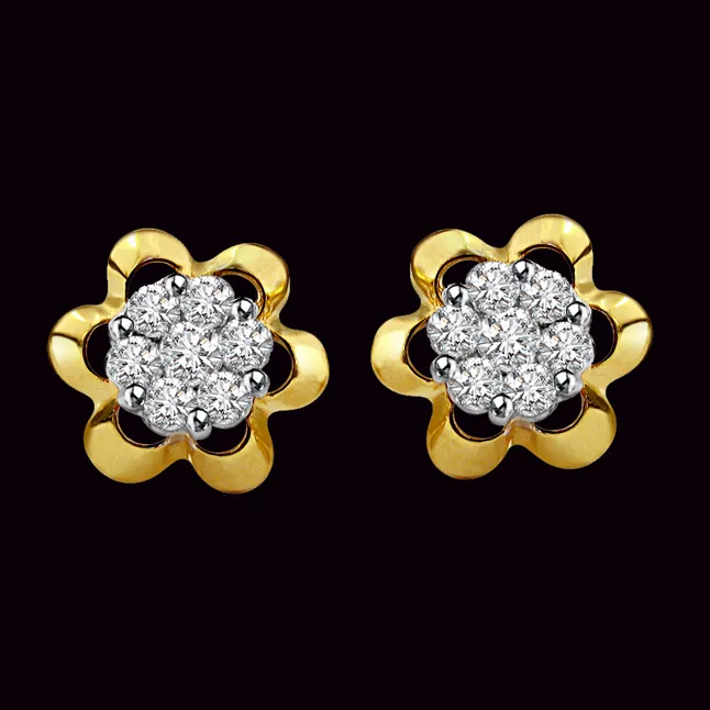 Striking n Shimmering Kuda Jodi Earrings (ER55)