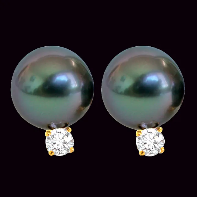 Tahitian Temptress Pearl & Diamond Earrings (ER6)