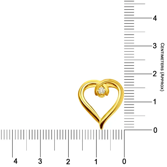 Hazelnut Love