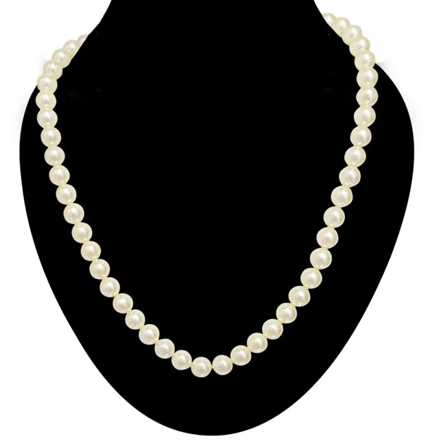 Single Line White Shell Pearl Necklace (PS479)