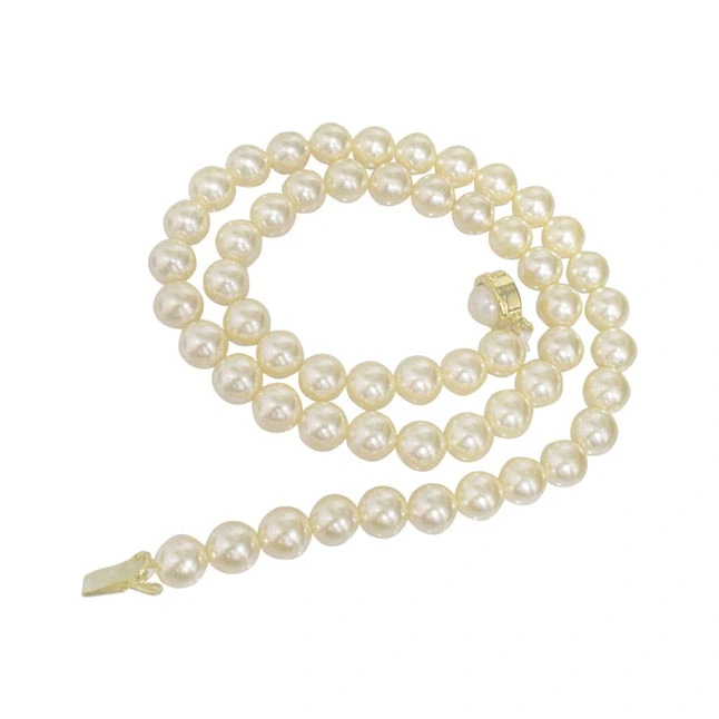 Single Line White Shell Pearl Necklace (PS479)