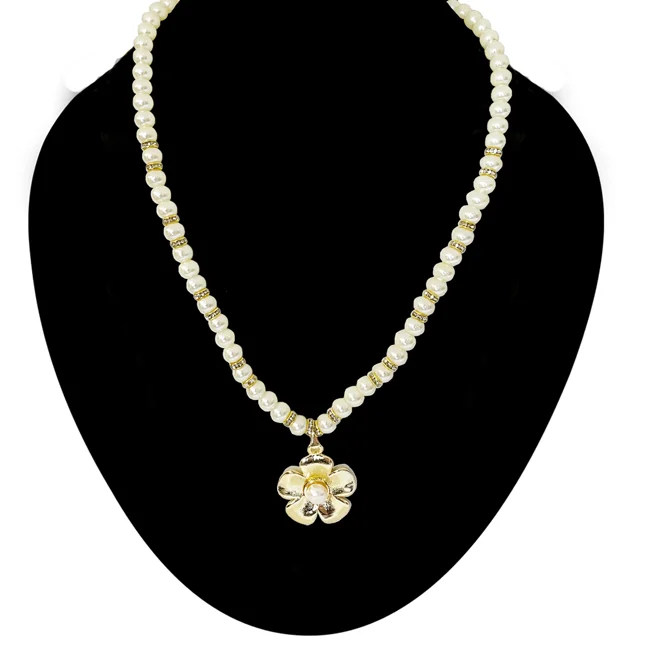 Single-Line Shell Pearl Necklace with Gold-Plated Chakri & Pendant – Graceful Elegance (PS596)
