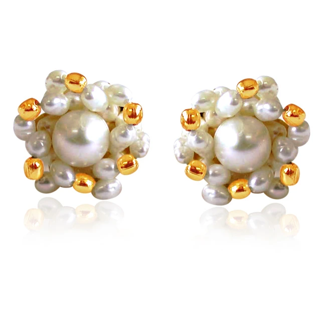 Real Rice Pearl & Gold Plated Beads Kuda Jodi Earrings (SE19)