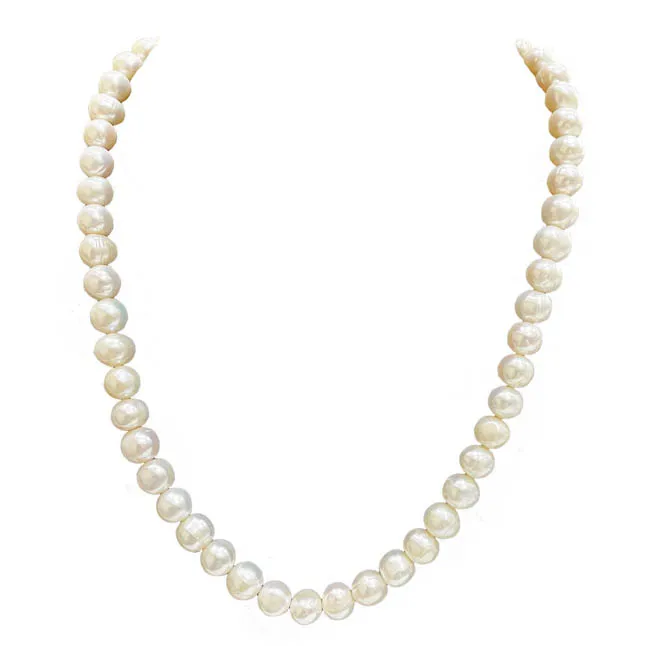 Single Line White Real Freshwater Pearl Necklace (SN1089)