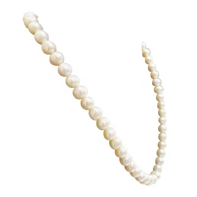 Single Line White Real Freshwater Pearl Necklace (SN1089)