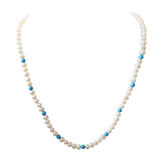 Single line Real Freshwater Pearl & Round Blue Turquoise Beads Necklace (SN29)