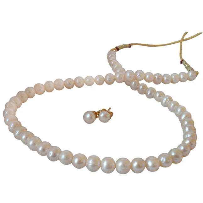 Single Line 5/6 mm Real Freshwater Pearl Necklace with Studs (SN713)