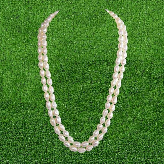 2 Line Real Big Elongated Pearl Necklace for Women (SN868)