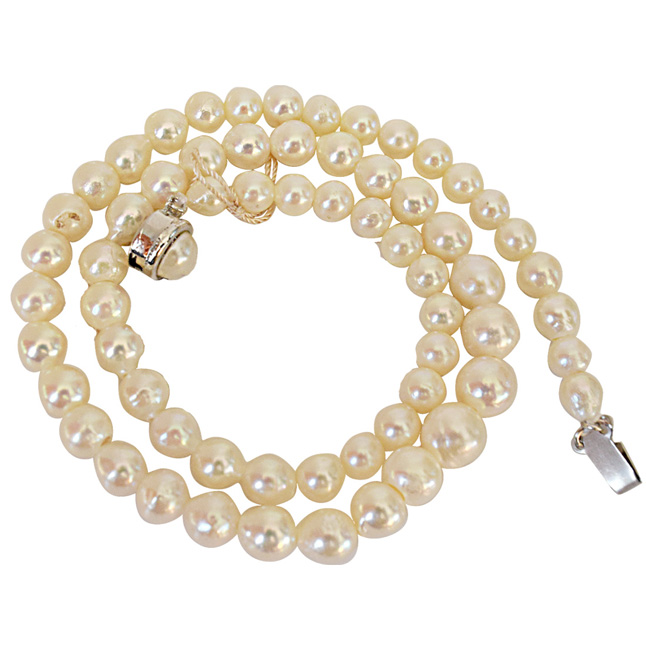 Discover Pure Elegance: The Japanese Cultured Pearl Necklace (SN887)