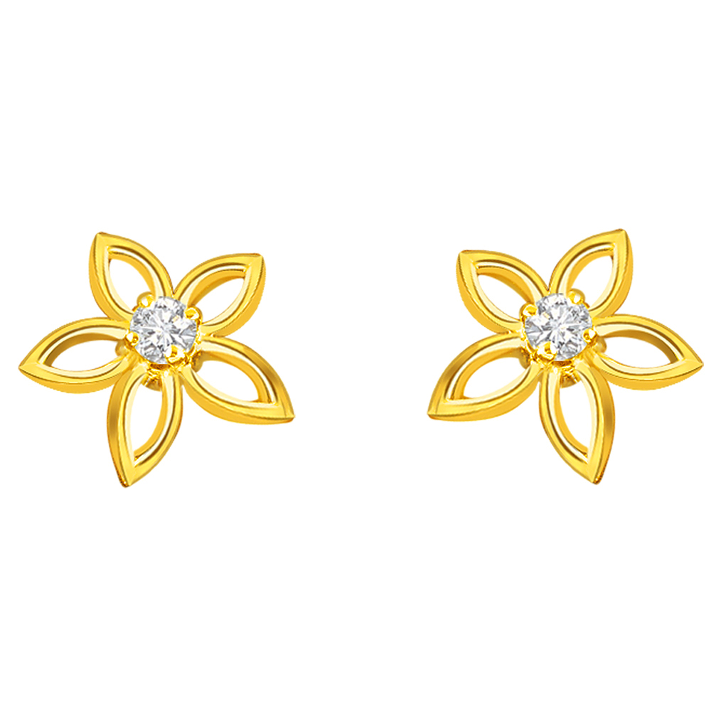 Complete Star's 0.10cts Diamond Earrings