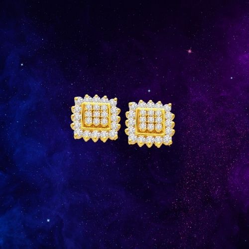 Customary n Conventional - Real Diamond Earrings (ER18)