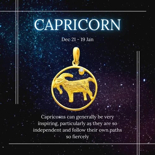 Capricorn - Real Diamond & 18K Gold Pendant (S326)